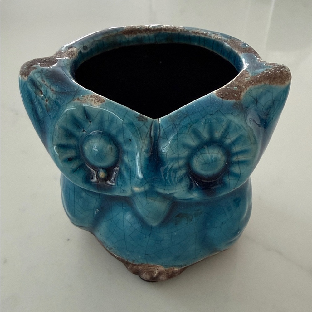 Blue Owl Ceramic Planter